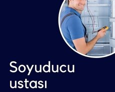 Soyuducu təmiri